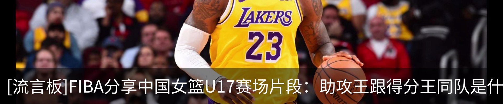 资讯动态